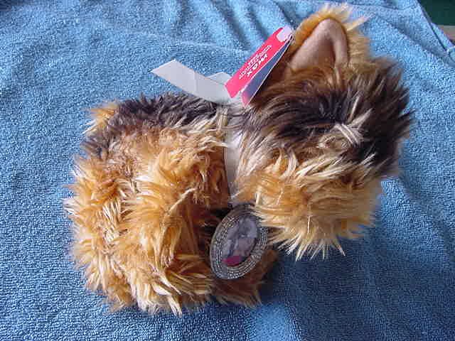 Victoria's Secret Max Picture Frame Dog Stuffed Plush