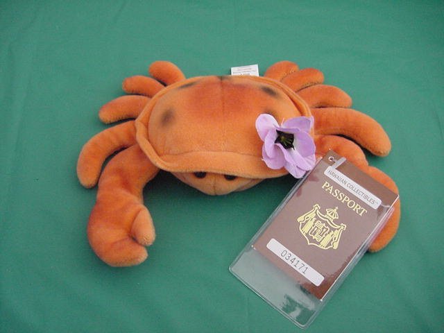Hawaiian Sideways Running Crab Beanie Plush 6" Tag