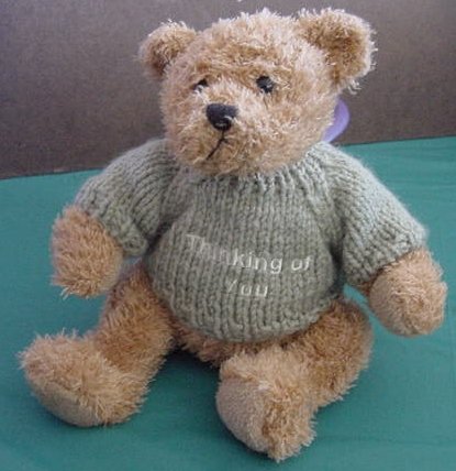 Thinking of You Sweater Brown Bear Stuffed Plush 7.5"