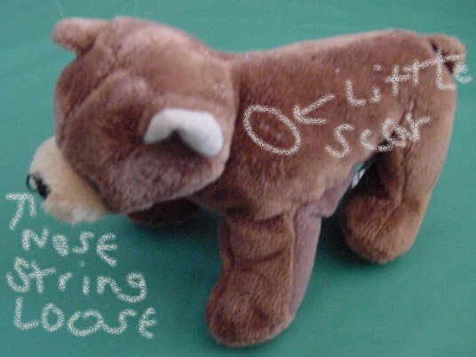 Mary Meyer Finger Puppet Bear Beanie Stuffed Plush 6"