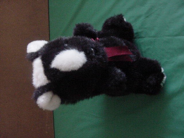 DGE Corp Skunk Black & White Stuffed Plush Beanie 7"