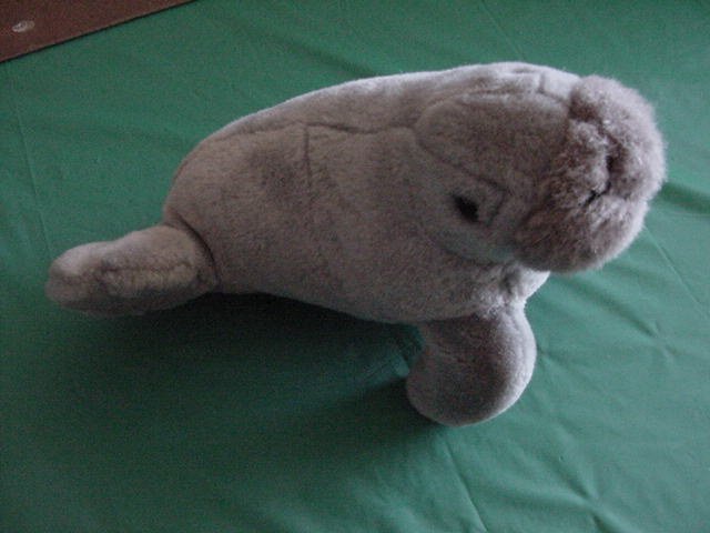 Princess Soft Toys Sea Lion Walrus? Stuffed Plush 9"