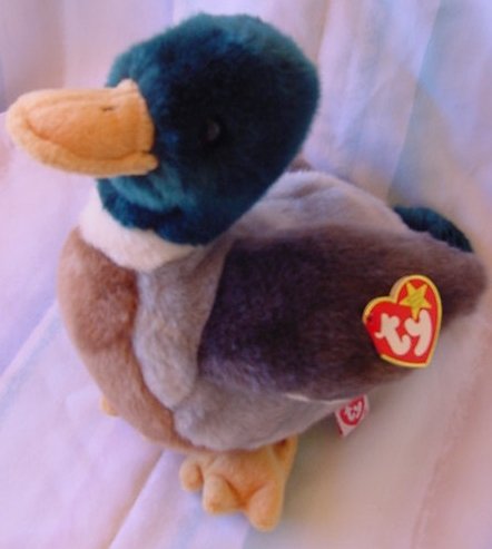 TY Beanie Buddy Jake Mallard Duck Plush Tag 8"