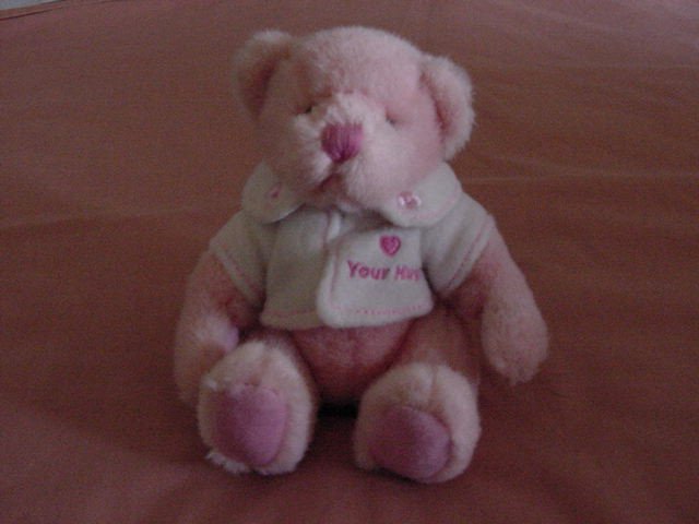 Russ Warm Wish Bear Pink Love Hugs Stuffed Plush 5"