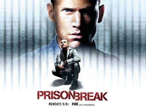 Prison Break Season 1 and 2 ONLY FOR PC DIVX FORMAT