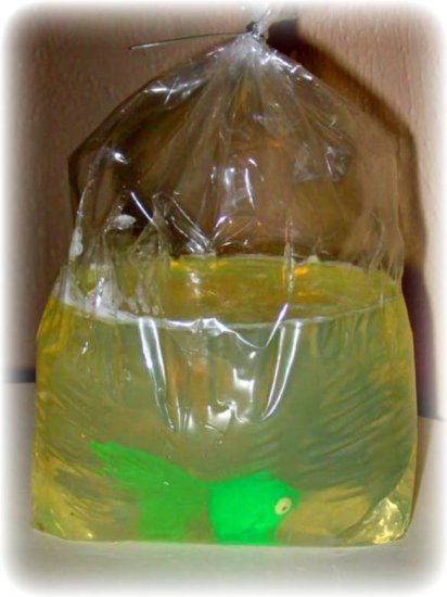 Fish in a Bag Bath Soap