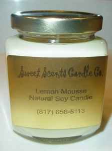 Handmade All Natural SOY wick Candle 9 oz. - YOU Pick the Fragrance! Candles