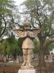 ANGEL WINGS