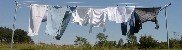 FRESH LINEN