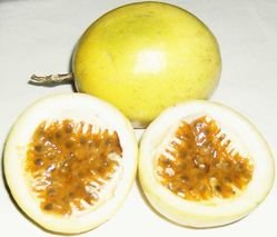 PASSION FRUIT