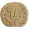 PEANUT BUTTER COOKIE