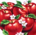 SPICED APPLES