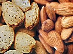 SWEET ALMOND