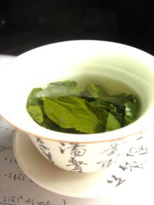WHITE TEA & GINGER