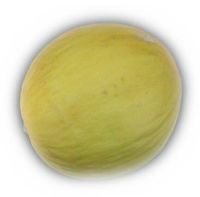 MELON TRIPLE