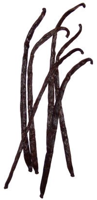 VANILLA BEAN