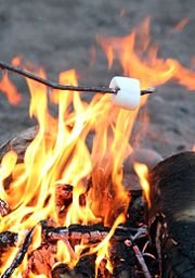 TOASTED MARSHMALLOW