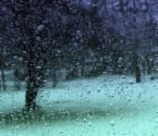 SUMMER RAIN