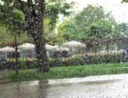 SPRING SHOWERS