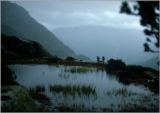 MOUNTAIN MIST