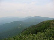 PINE MOUNTAIN