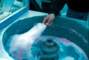 COTTON CANDY