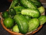 CUCUMBER MELON