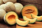 CANTALOUPE