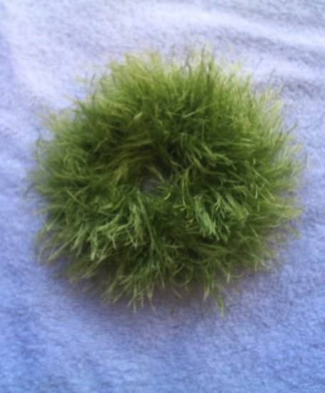 Ponytail Hair Scrunchie~ Lime~ Free Shipping