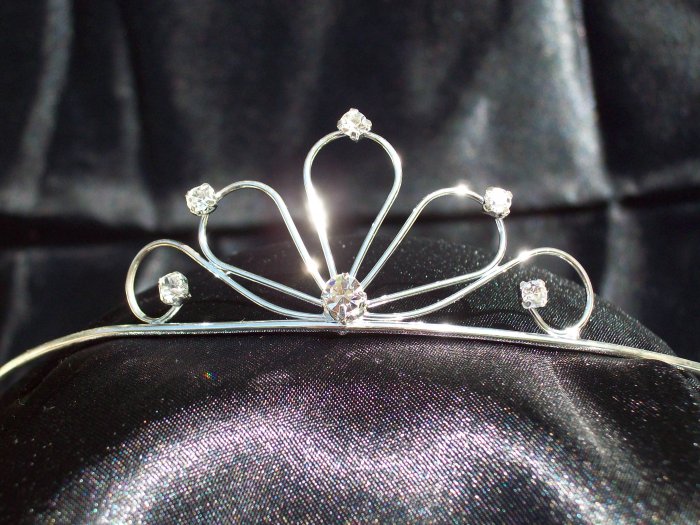 *Sale* Dainty Daisy Tiara