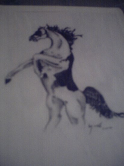 horse