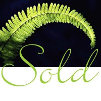 GO GREEN MACRAME PLANT HANGER W/BLUE BEADS