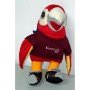 GUAKY DOLL , AMERICA CUP , Venezuela 2007