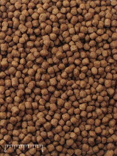 1 LB Aquatic Turtle Food Mazuri Brand New