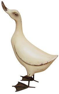 Duck Looking Up - GHD610B