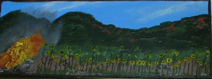 Field of Sunflowers - EAfs