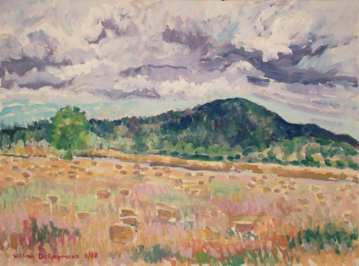 DPP landscape 8al
