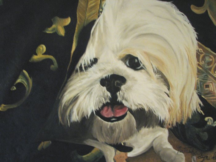 Pet Portrait - Oil on Canvas - 1 Pet 16 x 20 - PRoc11620