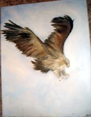 Eagle I - AAea