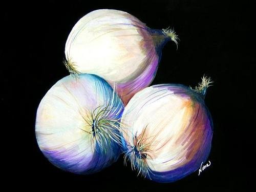 Onions - NW90206