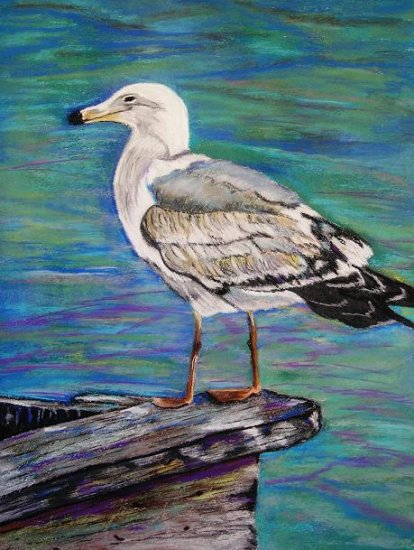 Seagull - NW90107