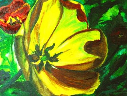 Mellow Yellow - NW90210