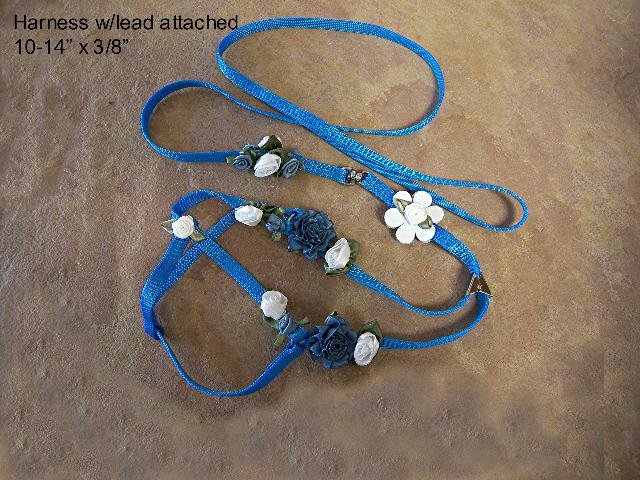Blue & White Satin Dog Lead & Collar - BTbws