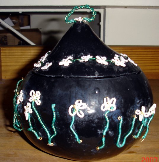 Black Daisy Gourd - AAbg