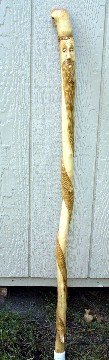 Maple Gentleman's Stick - OCgs