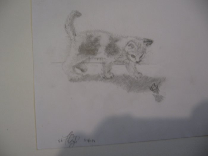 Kitten and Butterfly - KFkb