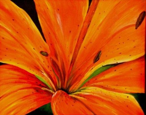 Orange Lily Print - NWpp