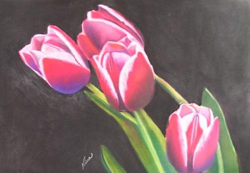 Tulip Print - NWtp