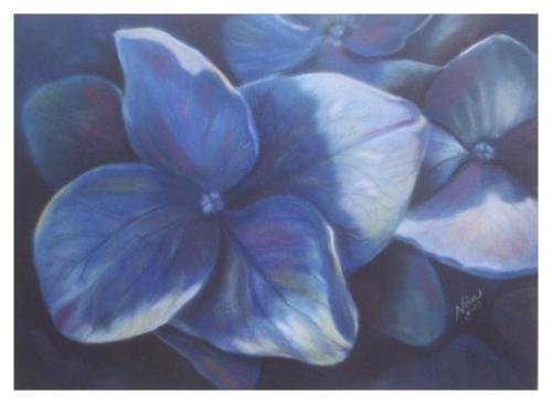 Hydrenga Print - NWpp