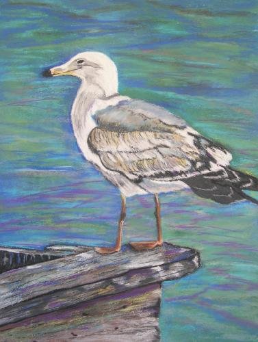 Seagull Print - NWsp